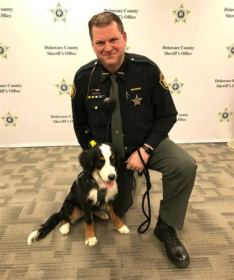 Delaware County Sheriffs Office Introduces Therapy Dog Otto A