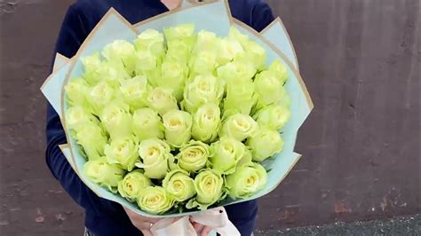 41 роза Атена - YouTube