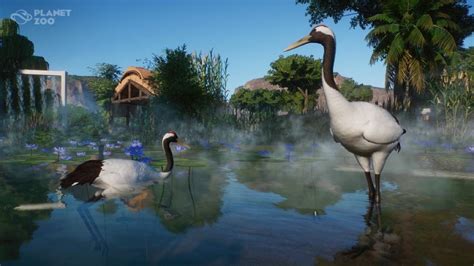 Red Crowned Crane Reveal Rplanetzoo