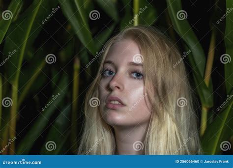 Blonde Jeune Femme Pose Dehors Closeuse Photo Stock Image Du Yeux Gens