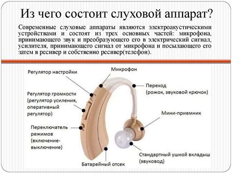 Человек в мире звуков. Проект «Мой друг – слуховой аппарат ...
