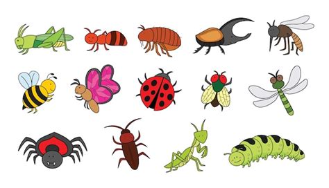 Premium Vector | Kids drawing Cartoon Big set of insects grasshopper ...