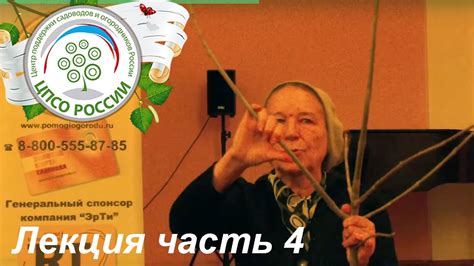 Обрезка и формирование плодовых деревьев и кустарников. Часть 4. - YouTube