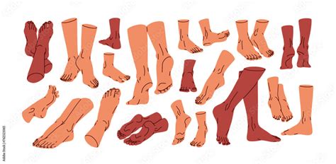 Human Foot Set Bare Feet Barefoot Legs Naked Heels Toes Ankles