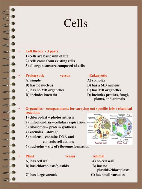 Biology Eoc Review Ppt Download