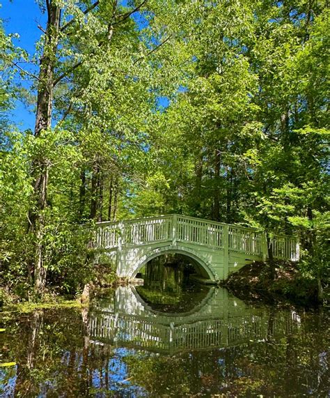 Cypress Gardens Moncks Corner Sc Artofit
