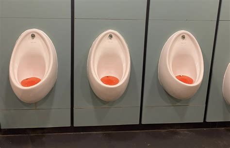 Removing Urine Odours At Source