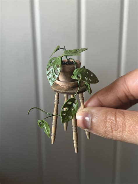 Handmade Miniature Plant - Monstera Adansonii - Etsy