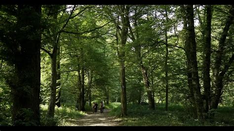 Anissa Kate Et Claire Castel Free Solo Porn XHamster