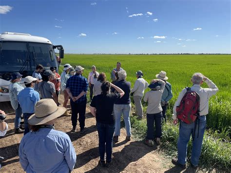 Bittern Summit Presentations Online | Bitterns in Rice Project