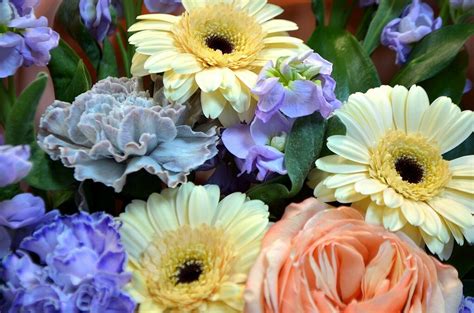 10 самых популярных видов цветов