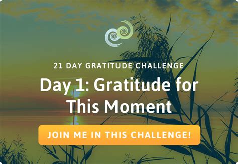 gratitude   moment