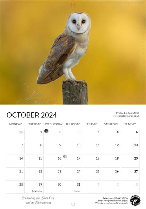 Barn Owl Calendar 2024 Emera Imojean