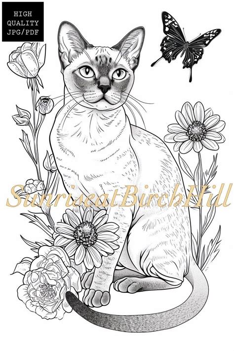 Burmese Cat Coloring Pagesheet Adult Printable Coloring Pet Burmese
