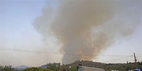 Un Incendio Forestal Declarado En Benasau Obliga A Evacuar El Pueblo