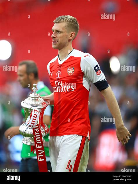 arsenals  mertesacker celebrates   pitch   side win