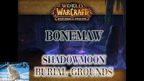 Bonemaw Shadowmoon Burial Grounds M Beta Dragonflight With