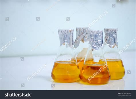 Trypticase Soy Agar Tsa Tryptic Soy Stock Photo 469187303 Shutterstock