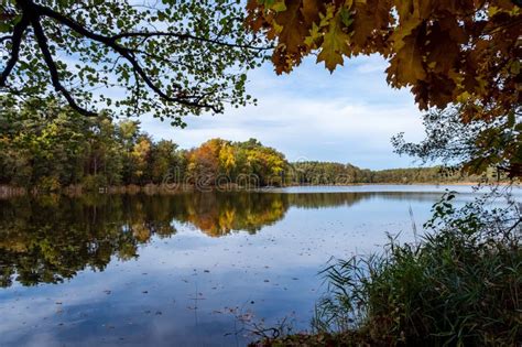 Paisaje Natural Del Lago Alta Definici N El Movimiento De Las Olas En