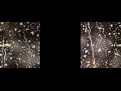 Virtualpee Hot Wet And Naked Vr Porn Xxx Mobile Porno Videos Movies IPornTV Net