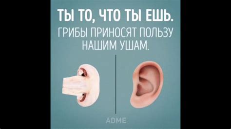 Ты то, что ты ешь. - YouTube