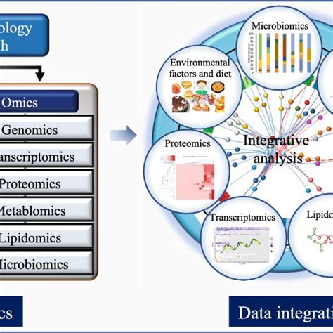 The Multifaceted Triggering Factors For Ibd And Major Disease Symptoms