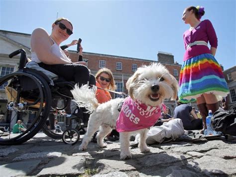 G Irlandeses Apoiam Casamento Gay Em Revolu O Social Not Cias Em Mundo