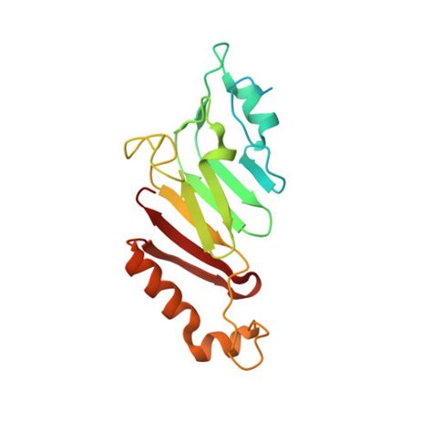 Rcsb Pdb 1ko6 Crystal Structure Of C Terminal Autoproteolytic Domain