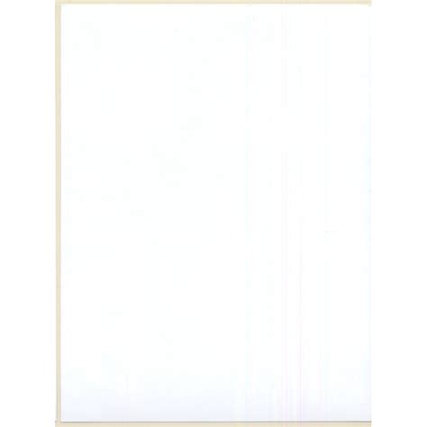 Erotic Study Busty Brunette In Swimsuit Flashing Boobs Digital Photo Print 2000s