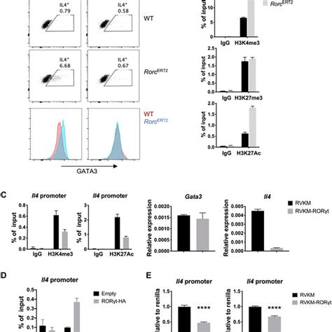 Ror T Regulates Se Activities In Mature T H 17 Cells Naïve T Cells Download Scientific Diagram