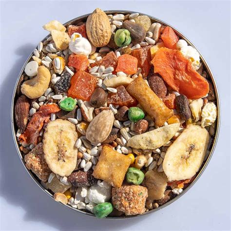 Parrot Super Star Parrot