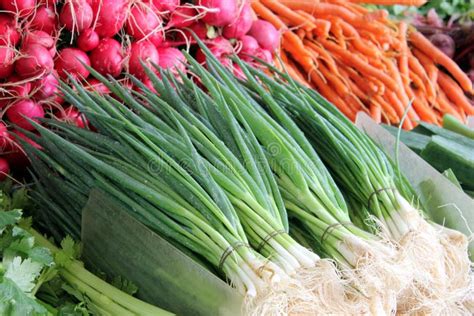 Vegtable Market Stand Stock Photo Image Of Health Taste 26495130