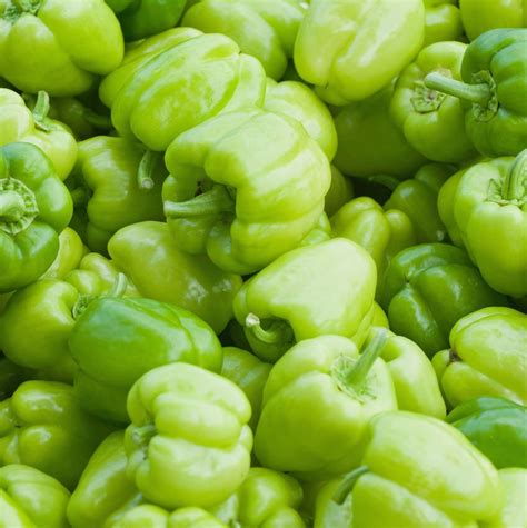 Ricette Con Peperoni Ecco 11 Idee Spettacolari Sfiziosoit