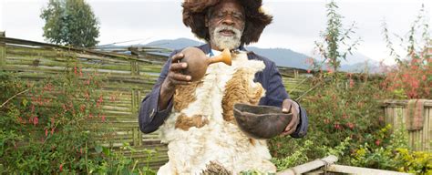 Traditional Medicine OMS Escritório Regional para a África