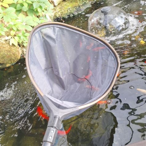 Сачок для пруда Algae Net, 40см с телескопической рукояткой 1,5 - 3м ...
