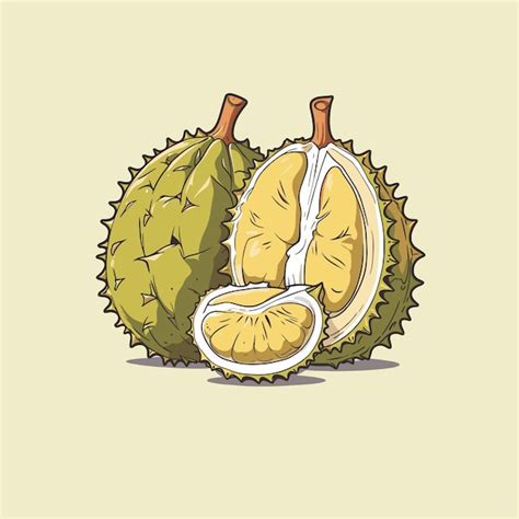 Fruta De Durian Vector De Dibujos Animados Icon Ilustraci N Vector