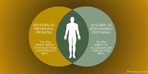 Nina Acupuncture | Expert Acupuncture & Holistic Healing in Westport, CT