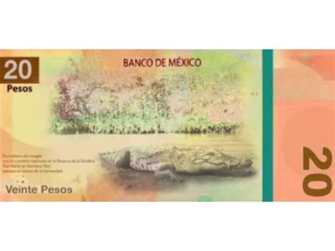 Adiós a Benito Juárez en septiembre llega el nuevo billete de 20 pesos