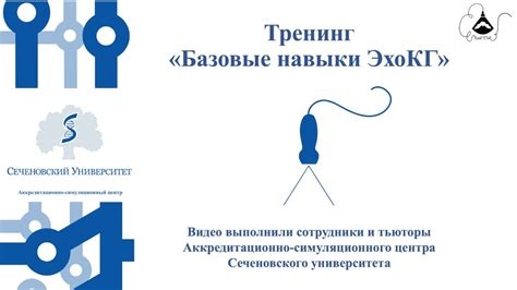 Базовые навыки ЭхоКГ - YouTube