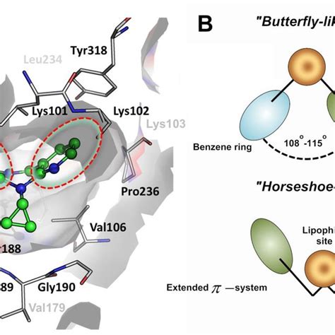 Chemical structures of the studied non-nucleoside reverse transcriptase ...