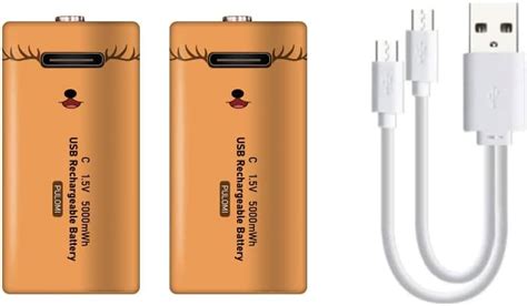 Amazon.com: Lankoo USB C Lithium ion Rechargeable Battery, High ...