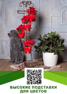 Подставки для цветов - красивые и практичные аксессуары для вашего дома ...