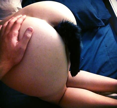 Pet Tails Porn Pictures Xxx Photos Sex Images Pictoa