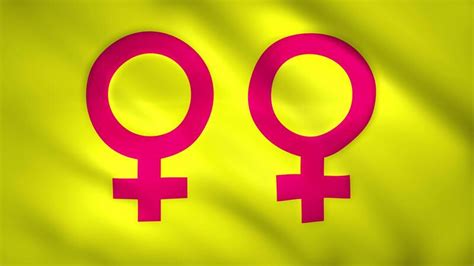 Flag With Symbol Of Lesbian Gender 53758639 Stock Video At Vecteezy