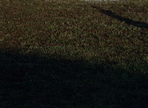 Nude On The Moon Doris Wishman Classic Adult