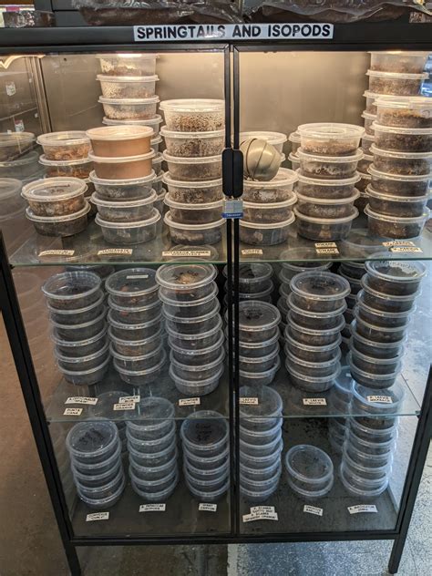 Twin Cities Reptiles, Inc - Home