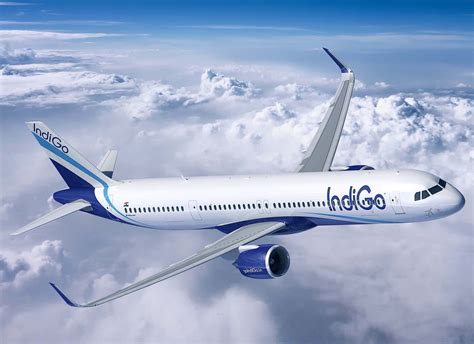 Indigo Plane Inside