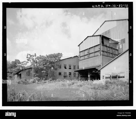 Sugar Plantation Center Black And White Stock Photos And Images Alamy