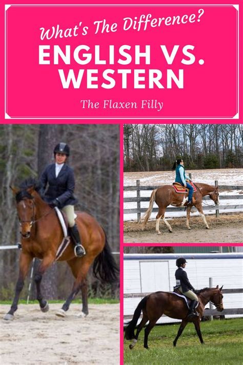 English Vs Western Which Is Better In 2022 Horseback Riding