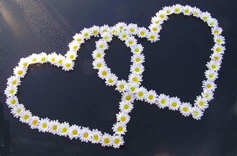 Sex A Vztahy Horoskopy Na M Ru